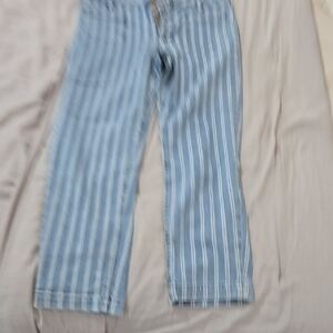 Anthropologie Pilcro Striped Blue Jeans for Women 29
